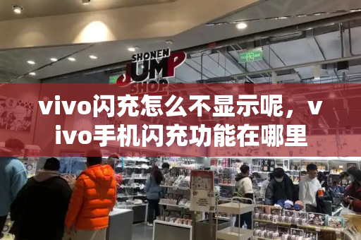 vivo闪充怎么不显示呢，vivo手机闪充功能在哪里-第1张图片-星选测评