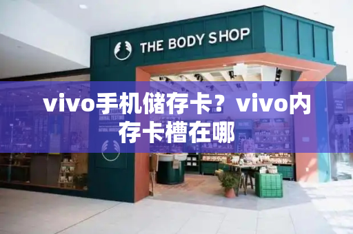 vivo手机储存卡？vivo内存卡槽在哪-第1张图片-星选测评