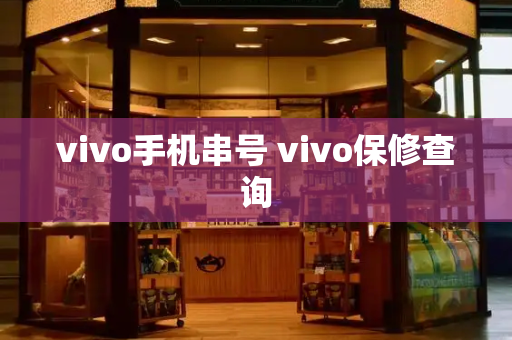 vivo手机串号 vivo保修查询-第1张图片-星选测评