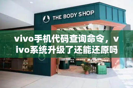 vivo手机代码查询命令，vivo系统升级了还能还原吗