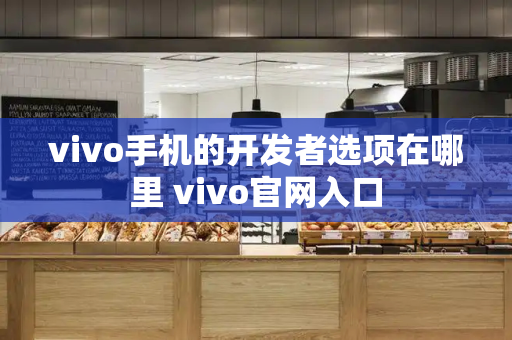 vivo手机的开发者选项在哪里 vivo官网入口