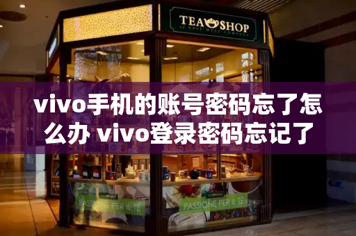 vivo手机的账号密码忘了怎么办 vivo登录密码忘记了怎么解开