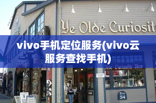 vivo手机定位服务(vivo云服务查找手机)