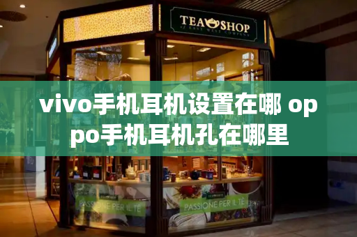 vivo手机耳机设置在哪 oppo手机耳机孔在哪里-第1张图片-星选测评