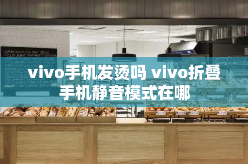 vivo手机发烫吗 vivo折叠手机静音模式在哪-第1张图片-星选测评