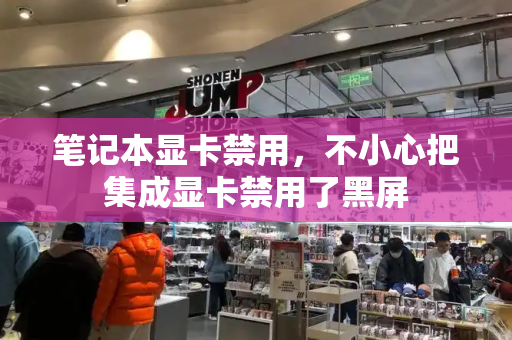 笔记本显卡禁用，不小心把集成显卡禁用了黑屏