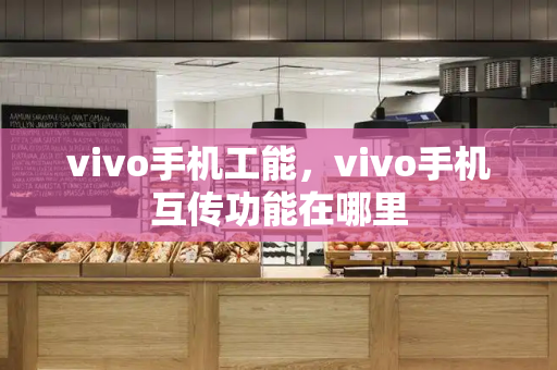 vivo手机工能，vivo手机互传功能在哪里