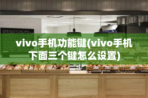 vivo手机功能键(vivo手机下面三个键怎么设置)