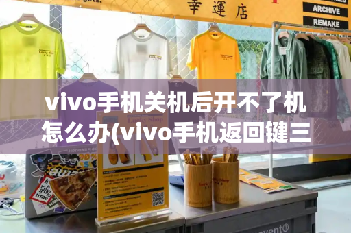 vivo手机关机后开不了机怎么办(vivo手机返回键三个键怎么调)