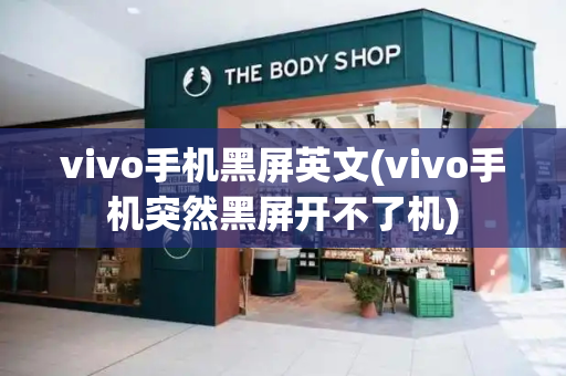 vivo手机黑屏英文(vivo手机突然黑屏开不了机)-第1张图片-星选测评