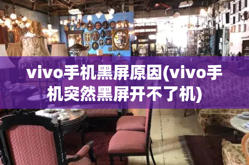 vivo手机黑屏原因(vivo手机突然黑屏开不了机)