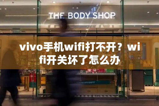 vivo手机wifi打不开？wifi开关坏了怎么办-第1张图片-星选测评