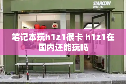 笔记本玩h1z1很卡 h1z1在国内还能玩吗