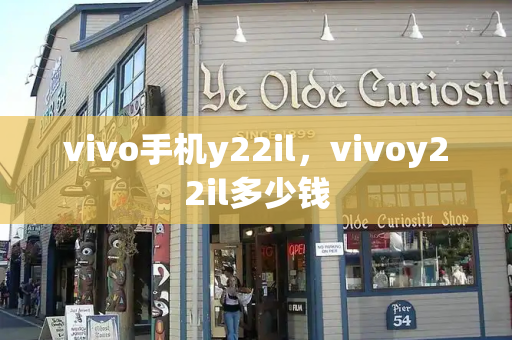 vivo手机y22il，vivoy22il多少钱-第1张图片-星选测评