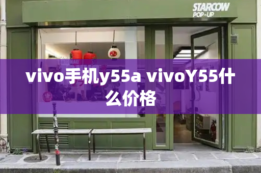 vivo手机y55a vivoY55什么价格