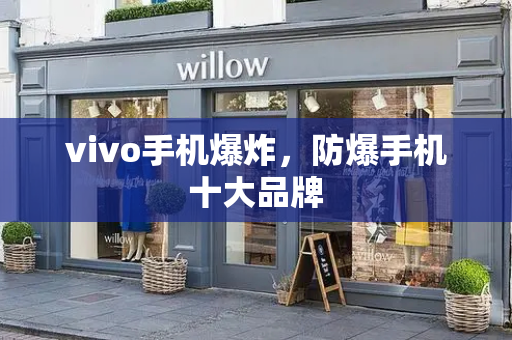 vivo手机爆炸，防爆手机十大品牌-第1张图片-星选测评