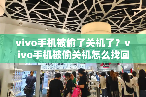 vivo手机被偷了关机了？vivo手机被偷关机怎么找回-第1张图片-星选测评