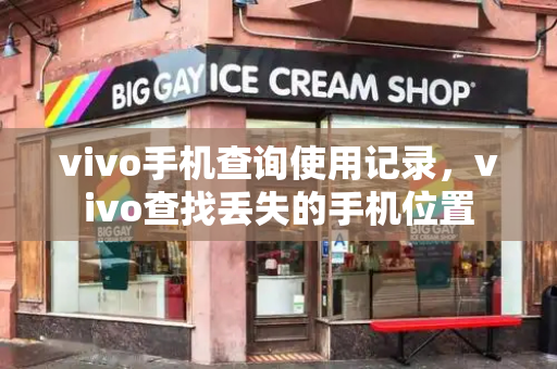 vivo手机查询使用记录，vivo查找丢失的手机位置-第1张图片-星选测评