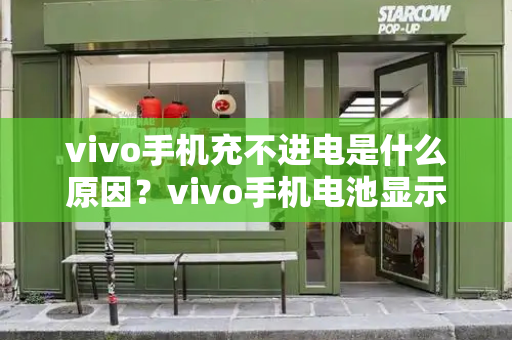 vivo手机充不进电是什么原因？vivo手机电池显示红色-第1张图片-星选测评