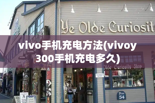 vivo手机充电方法(vivoy300手机充电多久)-第1张图片-星选测评