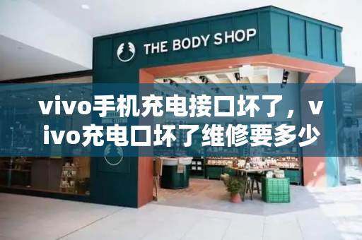 vivo手机充电接口坏了，vivo充电口坏了维修要多少钱-第1张图片-星选测评