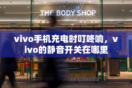 vivo手机充电时叮咚响，vivo的静音开关在哪里-第1张图片-星选测评