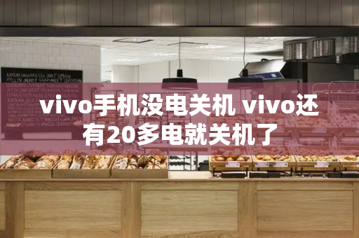 vivo手机没电关机 vivo还有20多电就关机了-第1张图片-星选测评