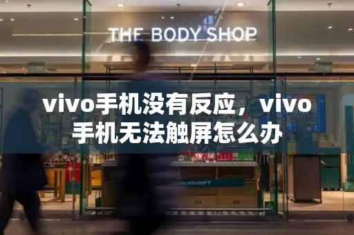 vivo手机没有反应，vivo手机无法触屏怎么办-第1张图片-星选测评