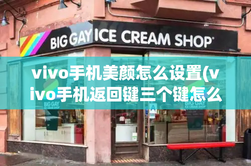 vivo手机美颜怎么设置(vivo手机返回键三个键怎么调出来)-第1张图片-星选测评