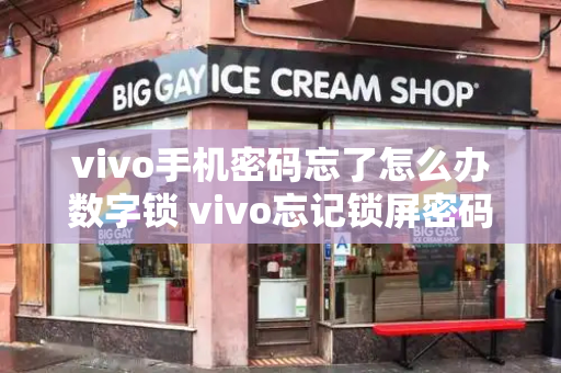 vivo手机密码忘了怎么办数字锁 vivo忘记锁屏密码10秒解决-第1张图片-星选测评