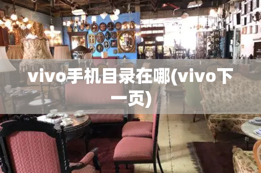 vivo手机目录在哪(vivo下一页)-第1张图片-星选测评