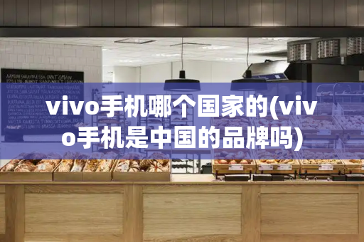 vivo手机哪个国家的(vivo手机是中国的品牌吗)-第1张图片-星选测评