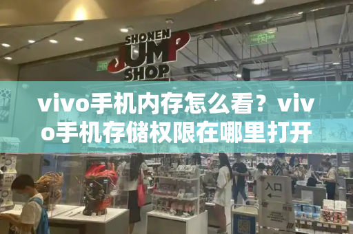 vivo手机内存怎么看？vivo手机存储权限在哪里打开-第1张图片-星选测评