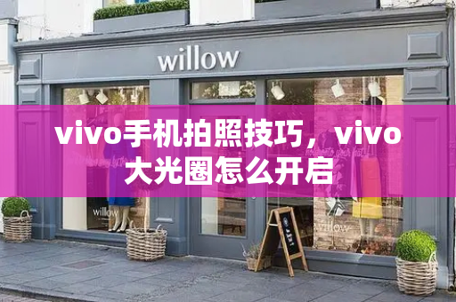 vivo手机拍照技巧，vivo大光圈怎么开启