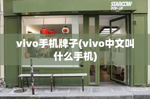 vivo手机牌子(vivo中文叫什么手机)-第1张图片-星选测评