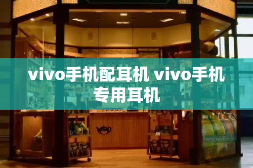 vivo手机配耳机 vivo手机专用耳机-第1张图片-星选测评