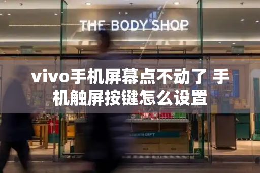 vivo手机屏幕点不动了 手机触屏按键怎么设置