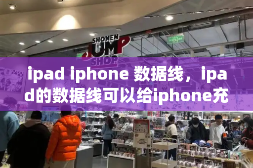 ipad iphone 数据线，ipad的数据线可以给iphone充电吗-第1张图片-星选测评