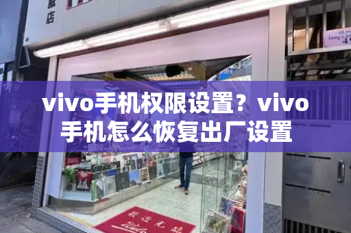 vivo手机权限设置？vivo手机怎么恢复出厂设置-第1张图片-星选测评