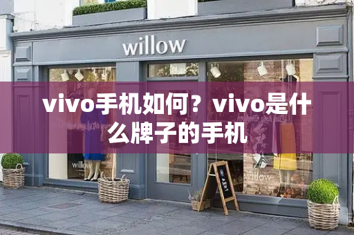 vivo手机如何？vivo是什么牌子的手机-第1张图片-星选测评