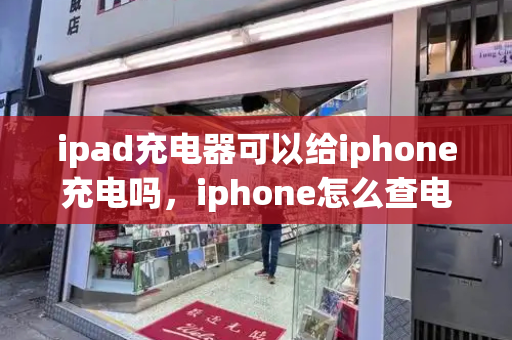 ipad充电器可以给iphone充电吗，iphone怎么查电池循环次数