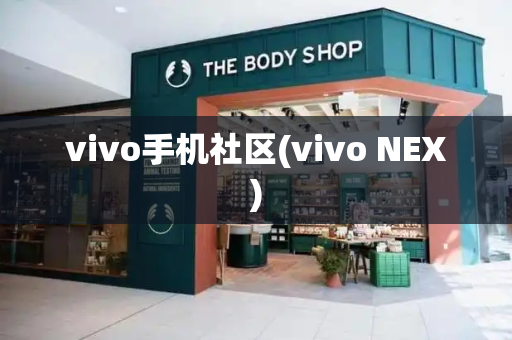 vivo手机社区(vivo NEX)-第1张图片-星选测评