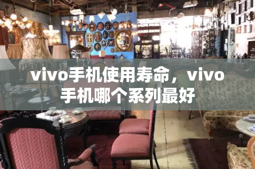 vivo手机使用寿命，vivo手机哪个系列最好-第1张图片-星选测评