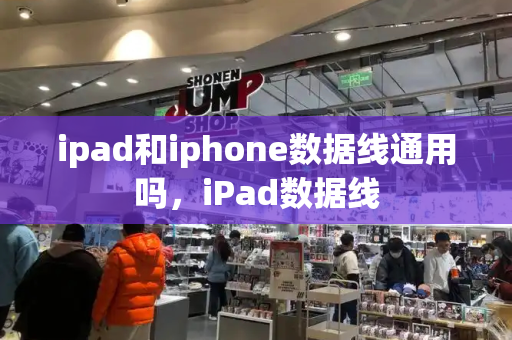 ipad和iphone数据线通用吗，iPad数据线-第1张图片-星选测评