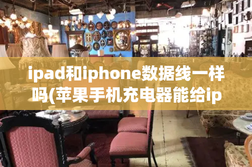 ipad和iphone数据线一样吗(苹果手机充电器能给ipad充电吗)-第1张图片-星选测评