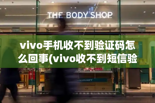 vivo手机收不到验证码怎么回事(vivo收不到短信验证码)-第1张图片-星选测评