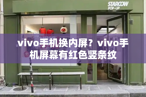 vivo手机换内屏？vivo手机屏幕有红色竖条纹-第1张图片-星选测评