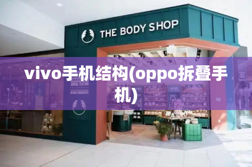 vivo手机结构(oppo拆叠手机)-第1张图片-星选测评