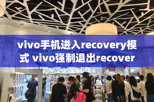 vivo手机进入recovery模式 vivo强制退出recovery-第1张图片-星选测评