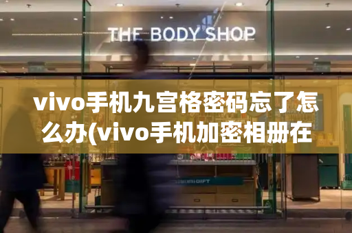 vivo手机九宫格密码忘了怎么办(vivo手机加密相册在哪)